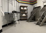Thumbnail 11 of 81 - private dog spa